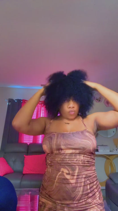 Afro Kinky Curly wig